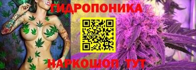 эйфоретик Кимры