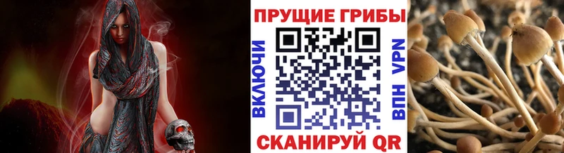 Галлюциногенные грибы Magic Shrooms  дарнет шоп  Сургут 