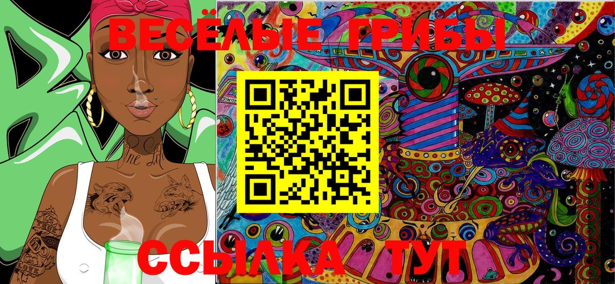 Псилоцибиновые грибы мицелий  Сургут 