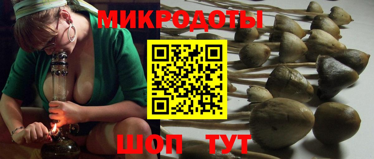 Галлюциногенные грибы MAGIC MUSHROOMS  Вход с VPN  Сургут 
